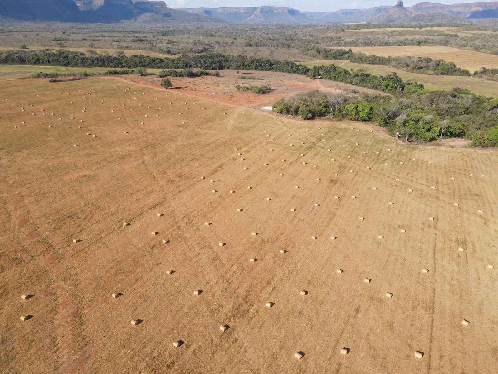 Paisagem rural de fazenda no Tocantins