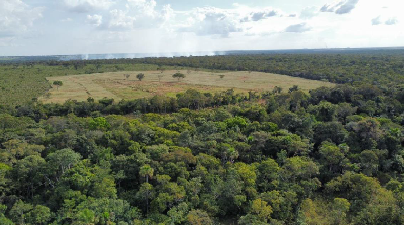 Captura de tela 2025-03-20 144312