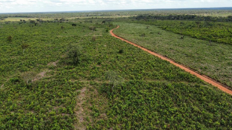 Captura de tela 2025-03-20 145013