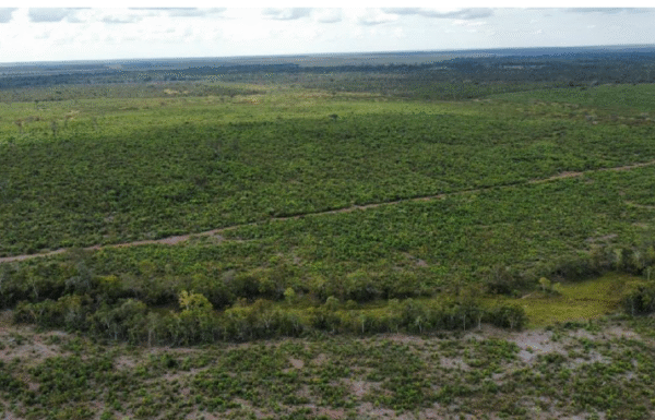 Captura de tela 2025-03-20 145023