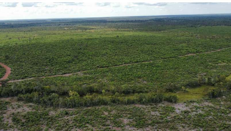 Captura de tela 2025-03-20 145023