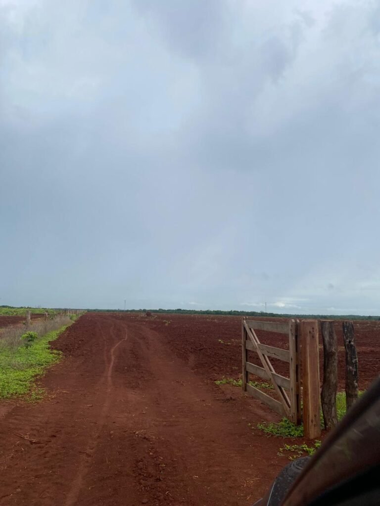 Imagem do WhatsApp de 2025-02-27 à(s) 09.55.25_53d8dcb2