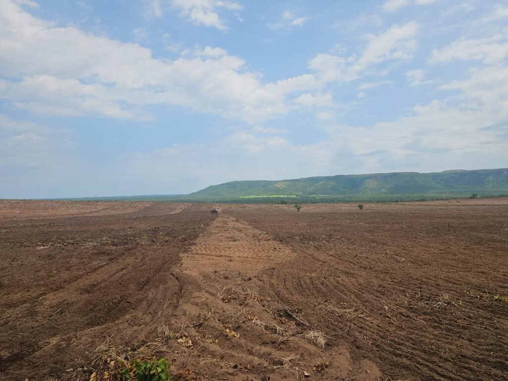 Imagem do WhatsApp de 2025-03-17 à(s) 16.52.37_00852e17