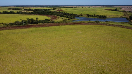 Captura de tela 2025-03-07 101841