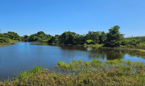 Captura de tela 2025-03-07 101909