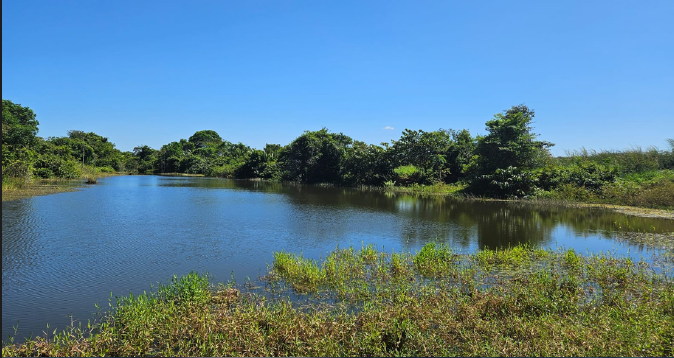 Captura de tela 2025-03-07 101909