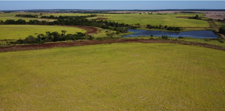 Captura de tela 2025-03-07 101919