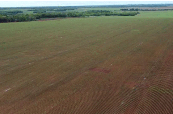 Fazenda Jaspe Vermelho