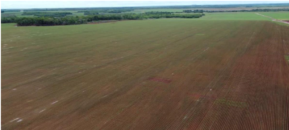 Captura de tela 2025-03-10 094425