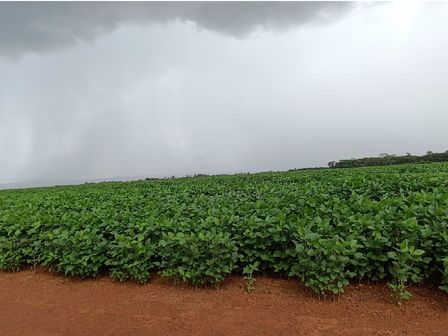 Captura de tela 2025-03-10 094621