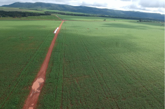 Fazenda Pérola do Cerrado
