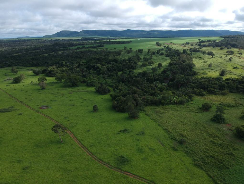 Captura de tela 2025-03-13 105901