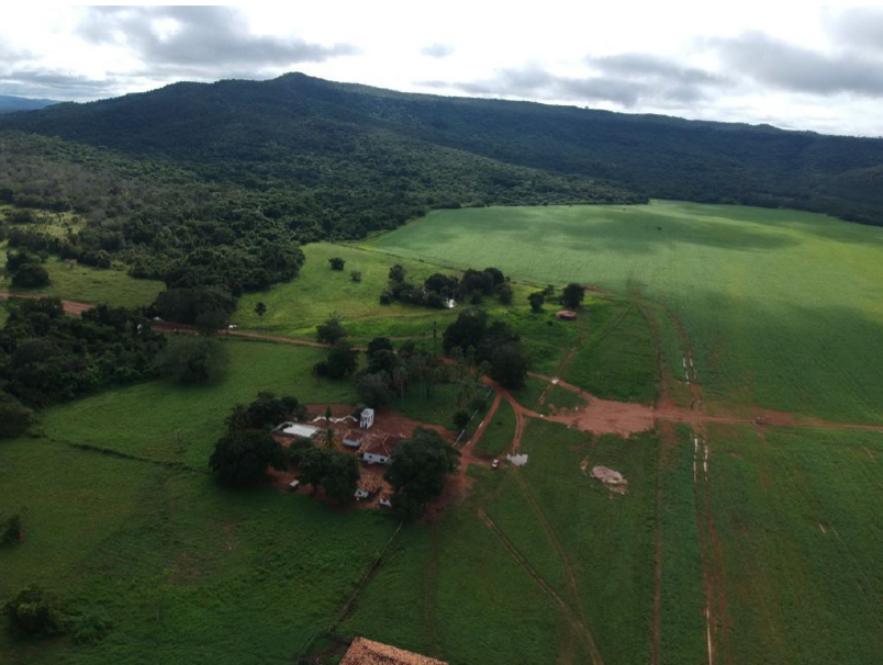 Captura de tela 2025-03-13 105911