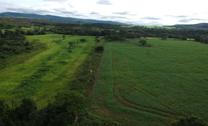 Captura de tela 2025-03-13 105918