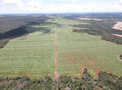 Captura de tela 2025-03-28 094355