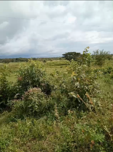 Captura de tela 2025-08-04 163153