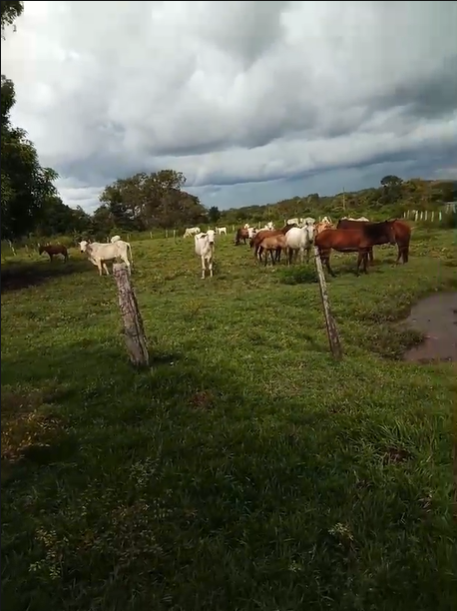 Captura de tela 2025-08-04 163313