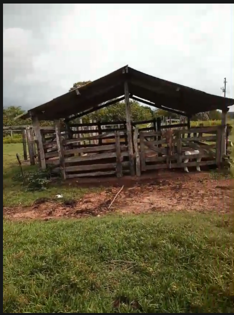 Captura de tela 2025-08-04 163352