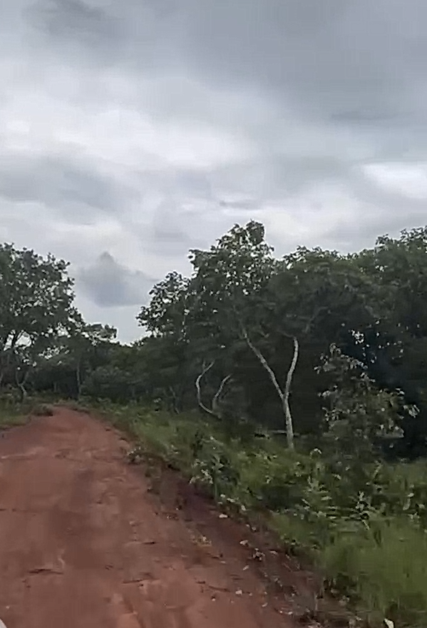 Captura de tela 2025-08-27 100645