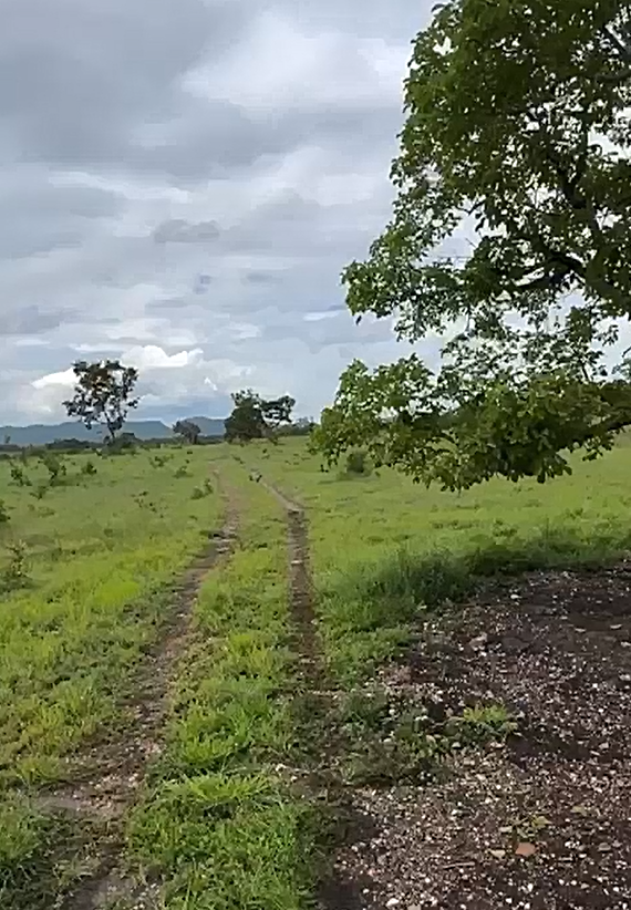 Captura de tela 2025-08-27 100840