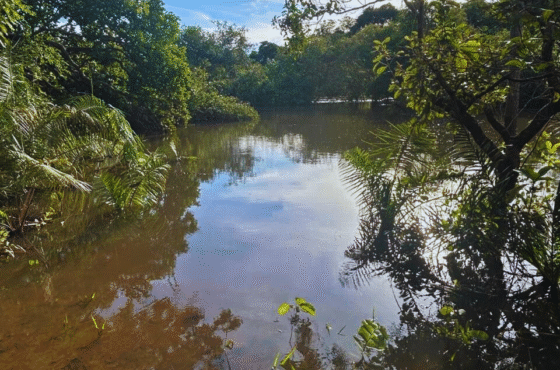 Fazenda Jaspe da Alvorada
