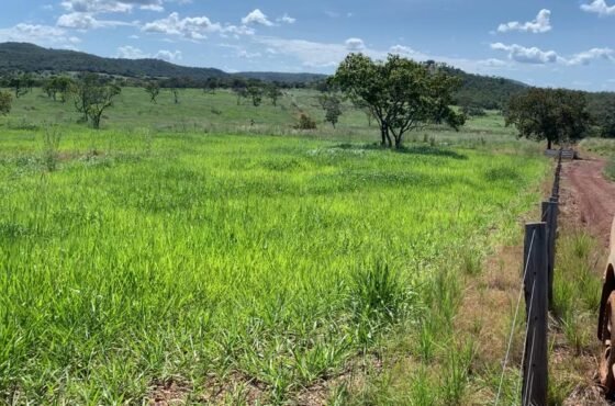 Fazenda Esmeralda do Cerrado