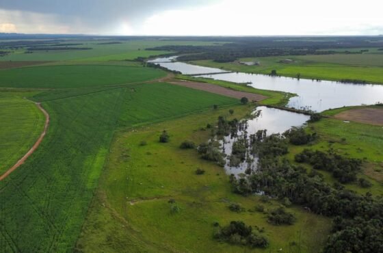 Fazenda Rubi do Araguaia