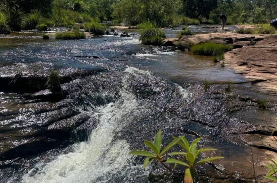 Fazenda Turquesa do Cerrado