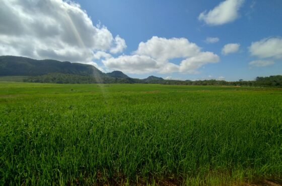 Fazenda Safira do Norte