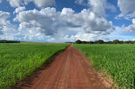 Fazenda Pedra do Sol