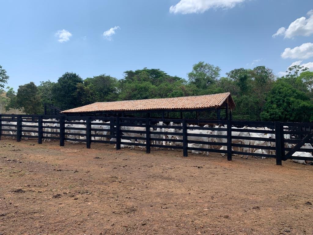 Imagem do WhatsApp de 2025-03-05 à(s) 15.21.58_113af37f