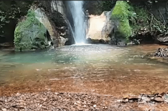 Fazenda Safira do Cerrado