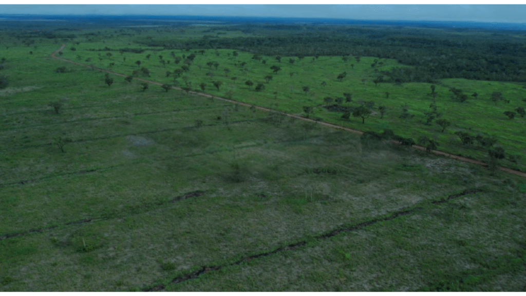 Sem nome (1920 x 1080 px) (1)