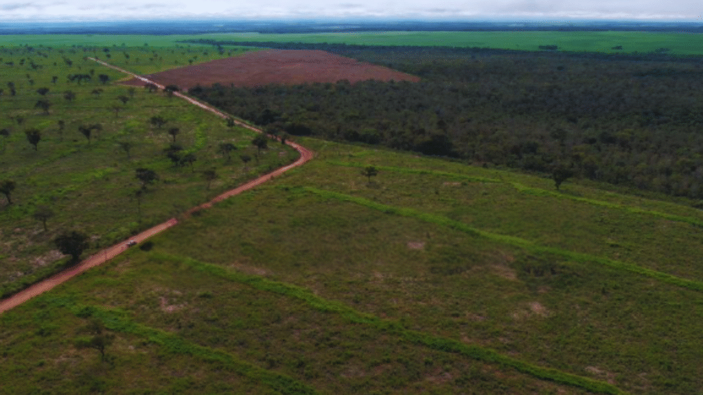 Sem nome (1920 x 1080 px)