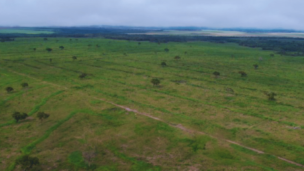 Sem nome (1920 x 1080 px) (2)