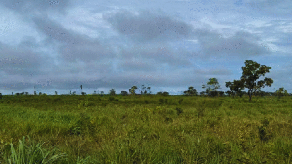 Sem nome (1920 x 1080 px) (3)