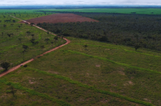 Fazenda Cristal de Carolina