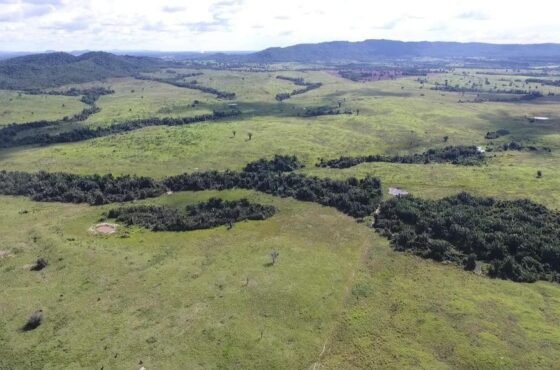 Fazenda Spinela Azul