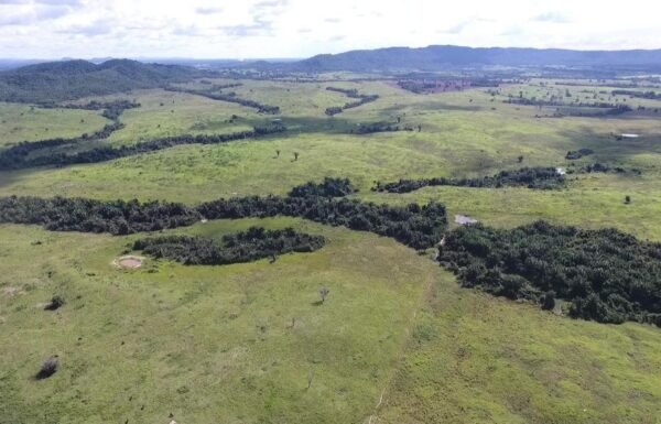 WhatsApp Image 2025-07-31 at 09.59.03