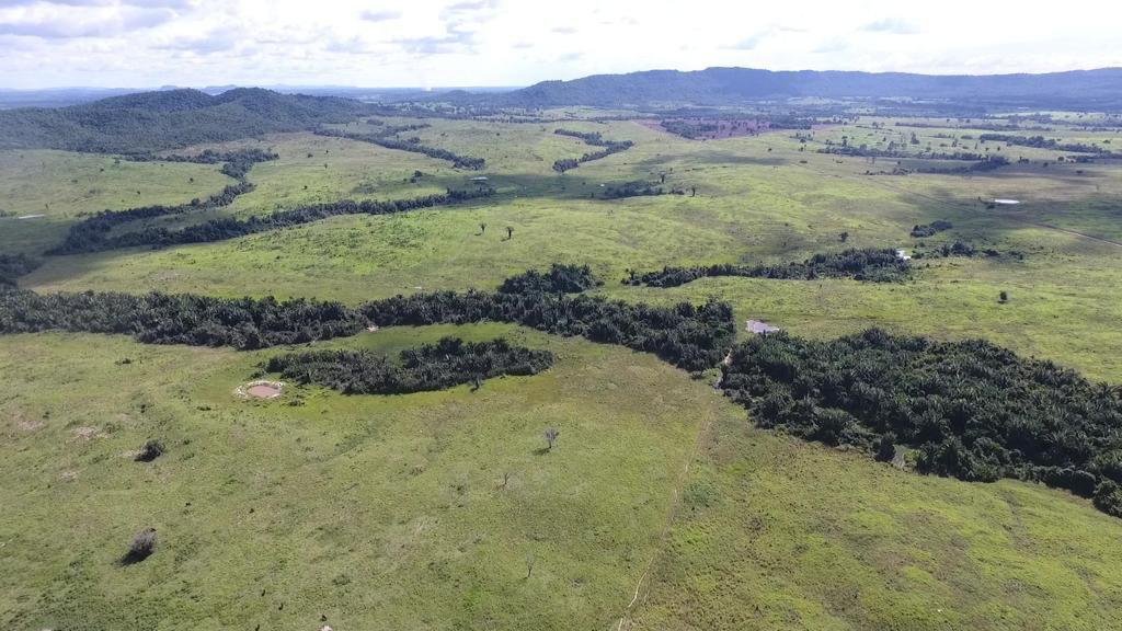 WhatsApp Image 2025-07-31 at 09.59.03