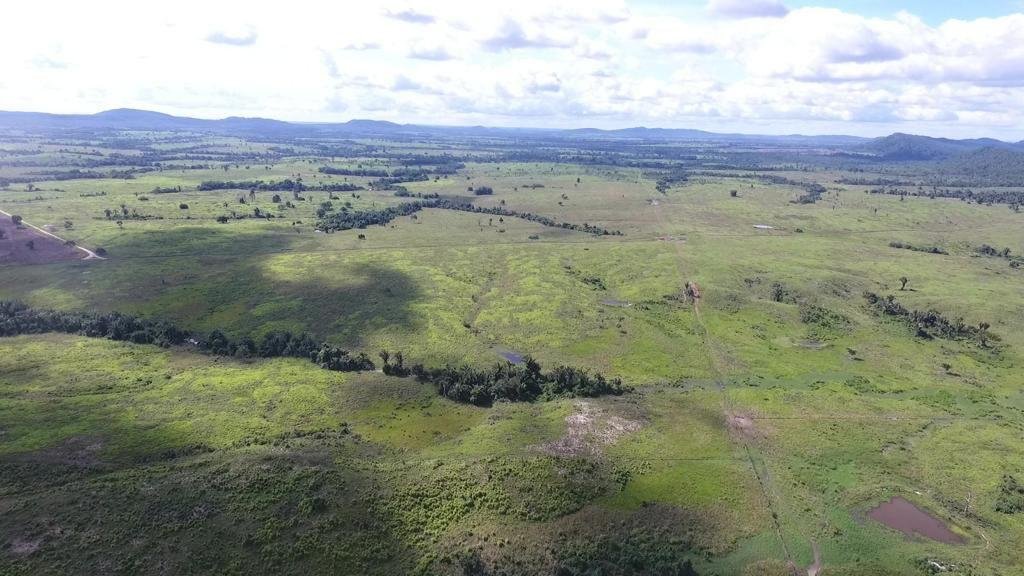 WhatsApp Image 2025-07-31 at 09.59.04 (2)