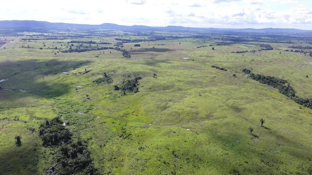 WhatsApp Image 2025-07-31 at 09.59.04 (4)