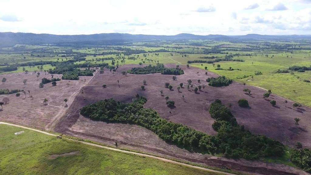 WhatsApp Image 2025-07-31 at 09.59.05 (1)