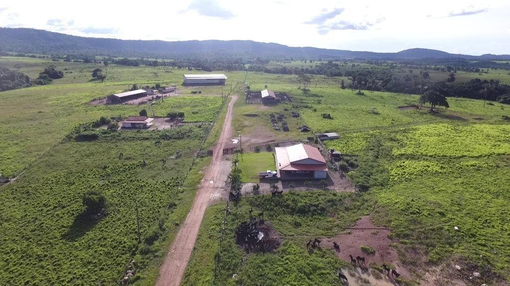 WhatsApp Image 2025-07-31 at 09.59.06 (3)