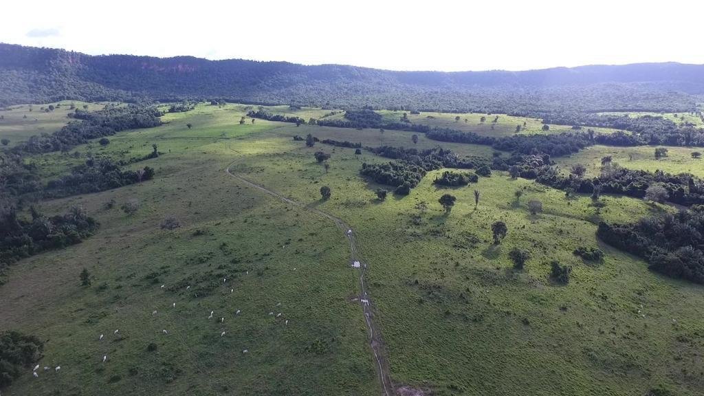 WhatsApp Image 2025-07-31 at 09.59.07 (2)