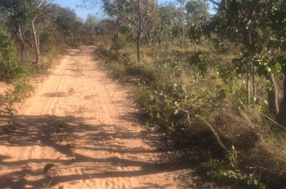 Fazenda Perola do Leste