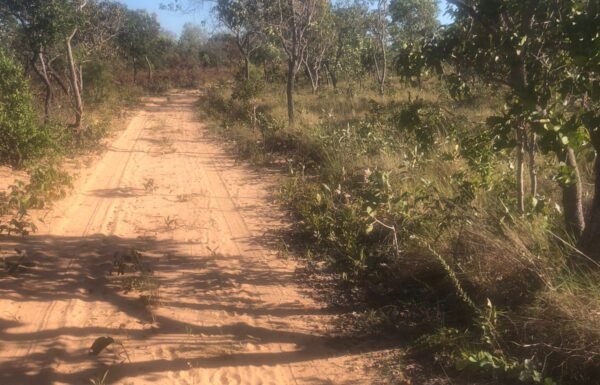 WhatsApp Image 2025-07-31 at 16.12.51 (1)