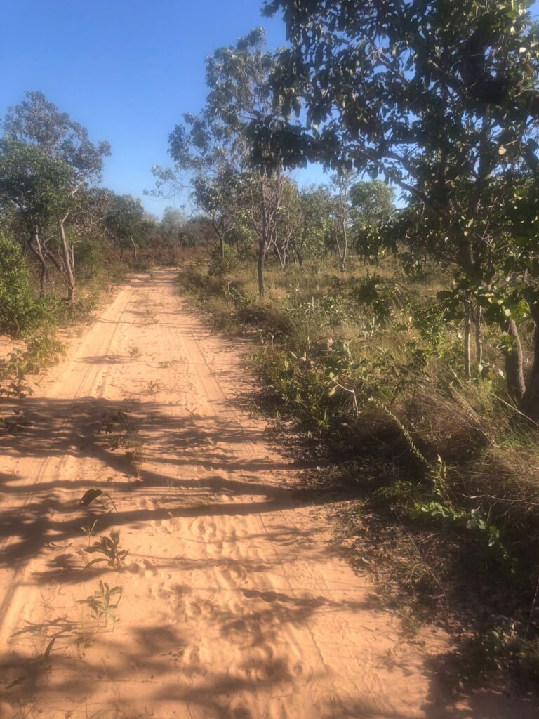 WhatsApp Image 2025-07-31 at 16.12.51 (1)