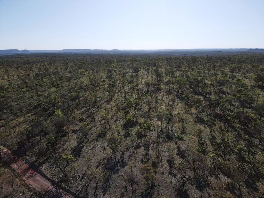 WhatsApp Image 2025-07-31 at 16.12.52 (1)