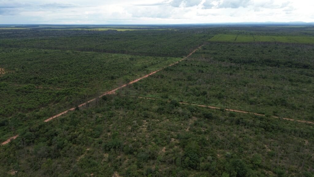 WhatsApp Image 2025-08-01 at 10.34.49 (1)